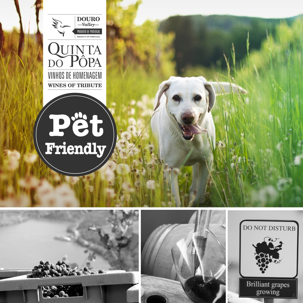 Quinta do Popa Pet Friendly BR